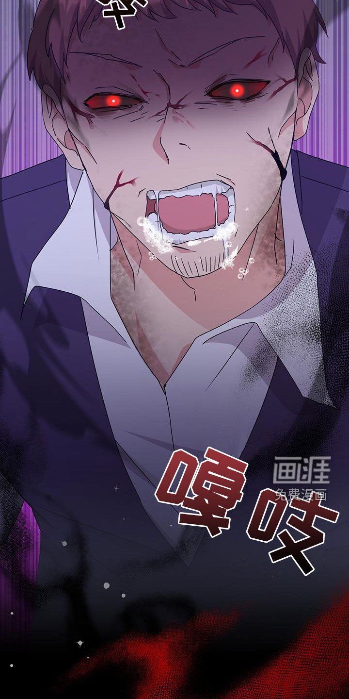 第33章：幕后黑手