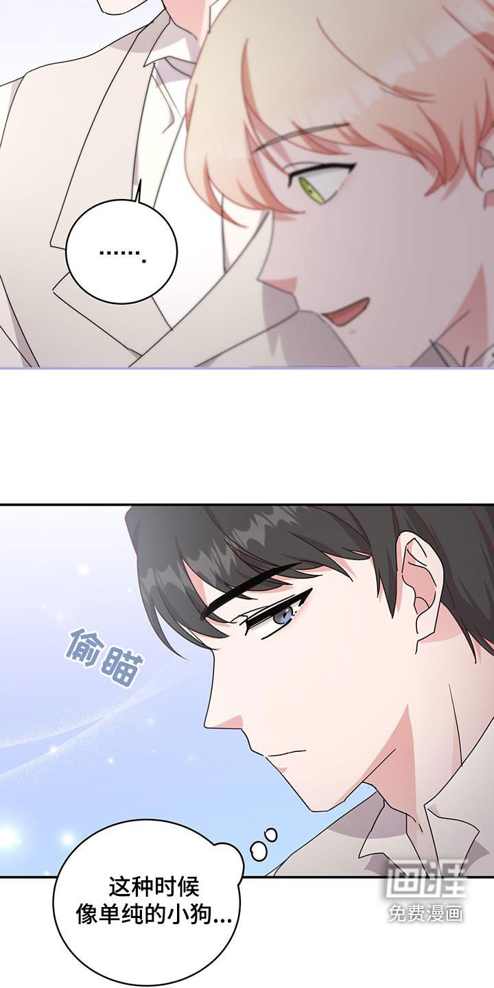 第33章：幕后黑手