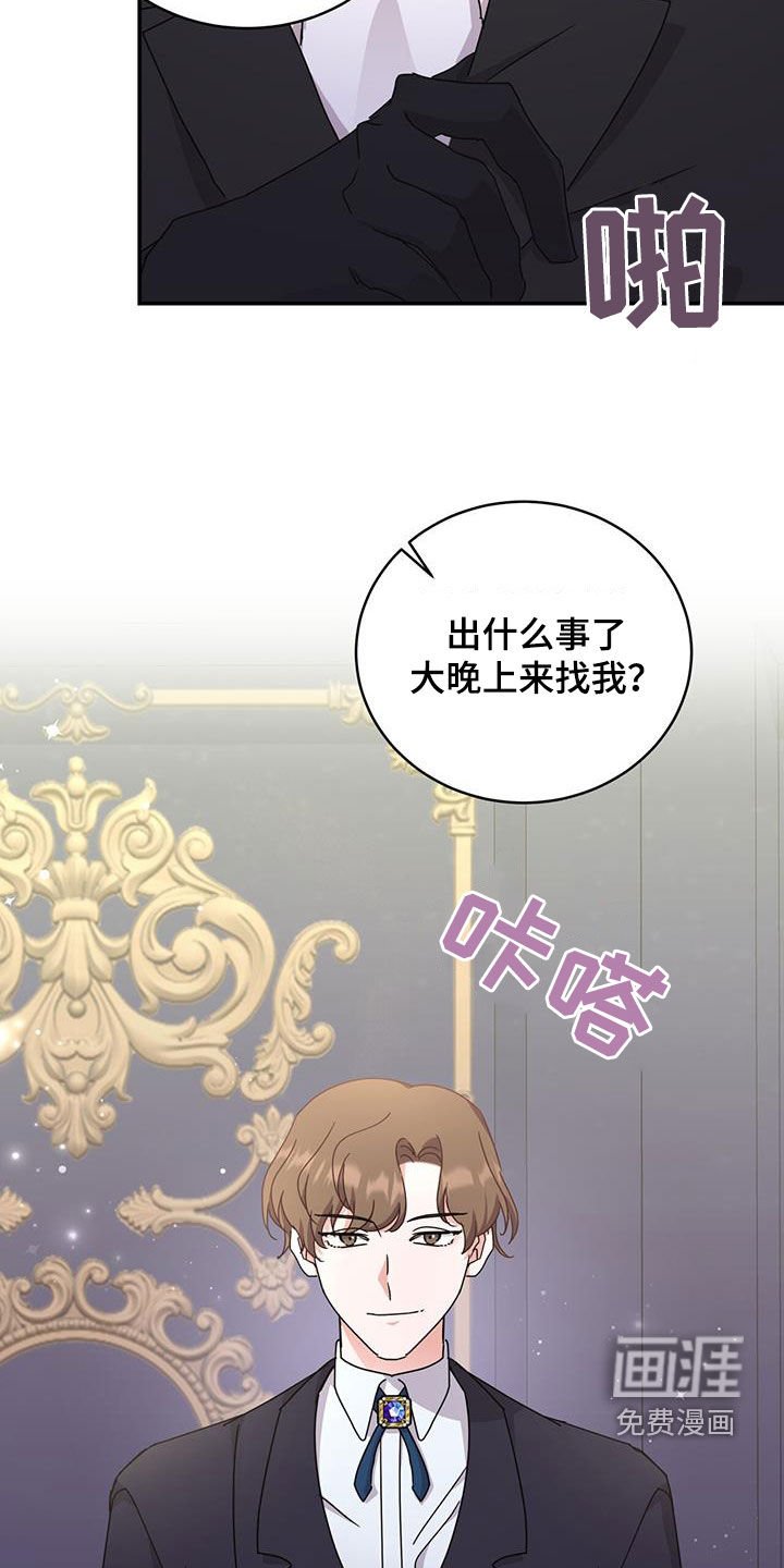 第33章：幕后黑手