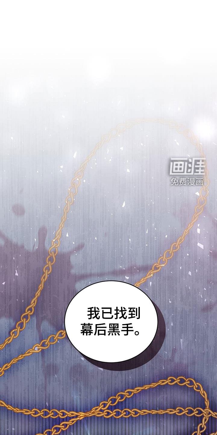第33章：幕后黑手
