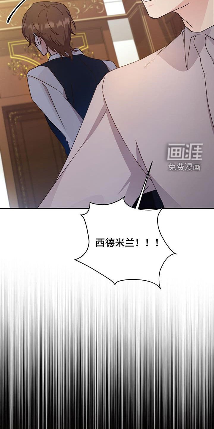 第40章：星星庆典