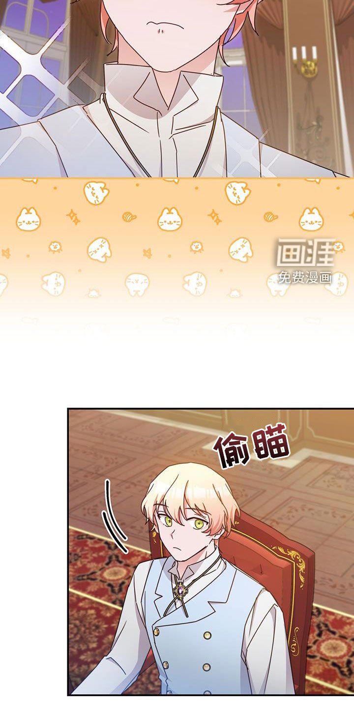 第40章：星星庆典