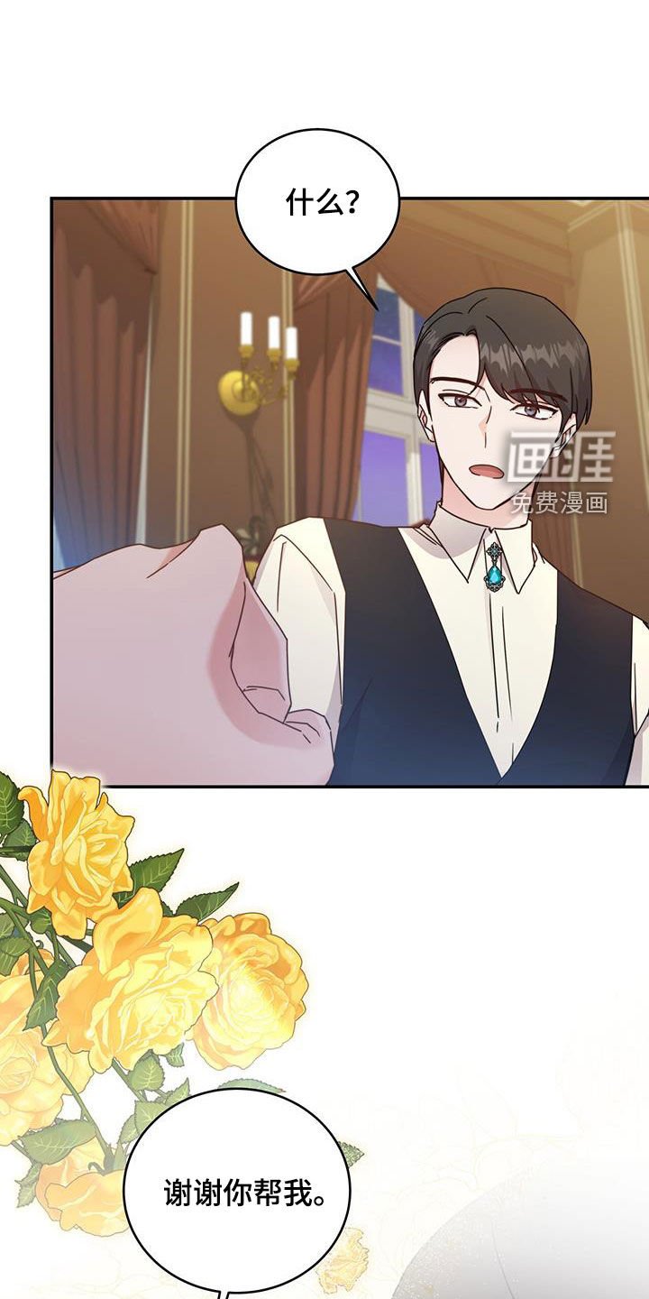 第40章：星星庆典