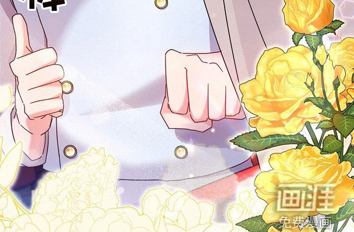 第40章：星星庆典