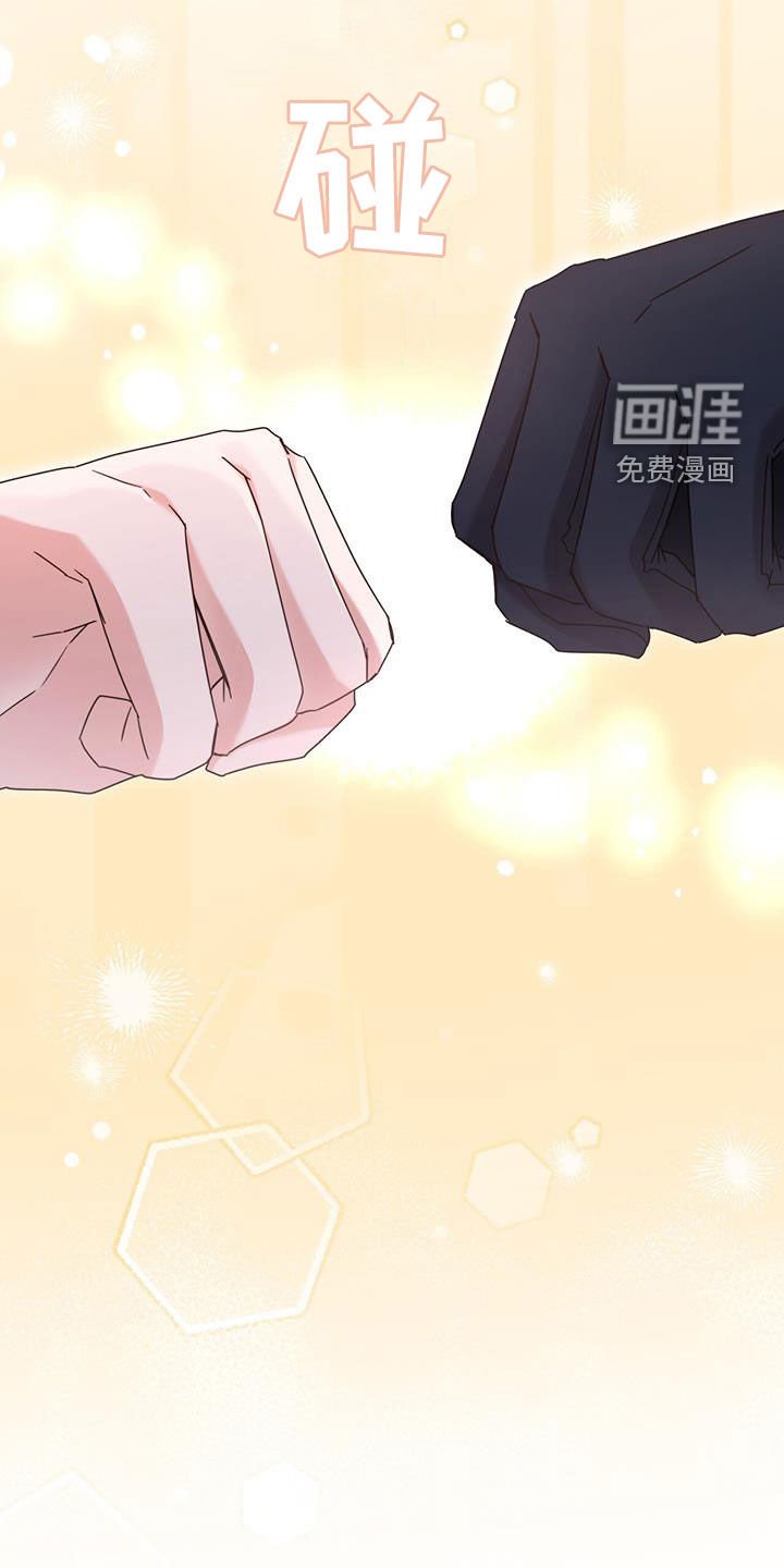 第40章：星星庆典
