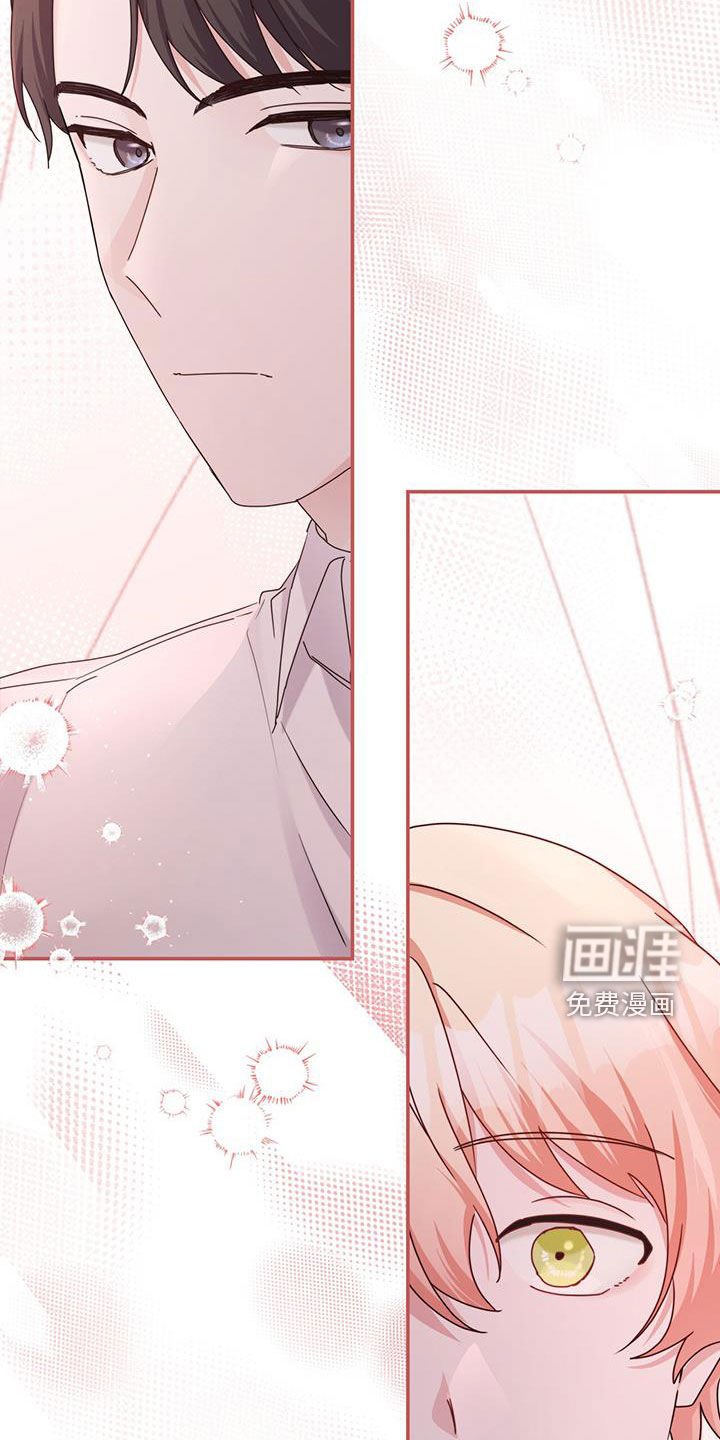 第49章：晚安的道别