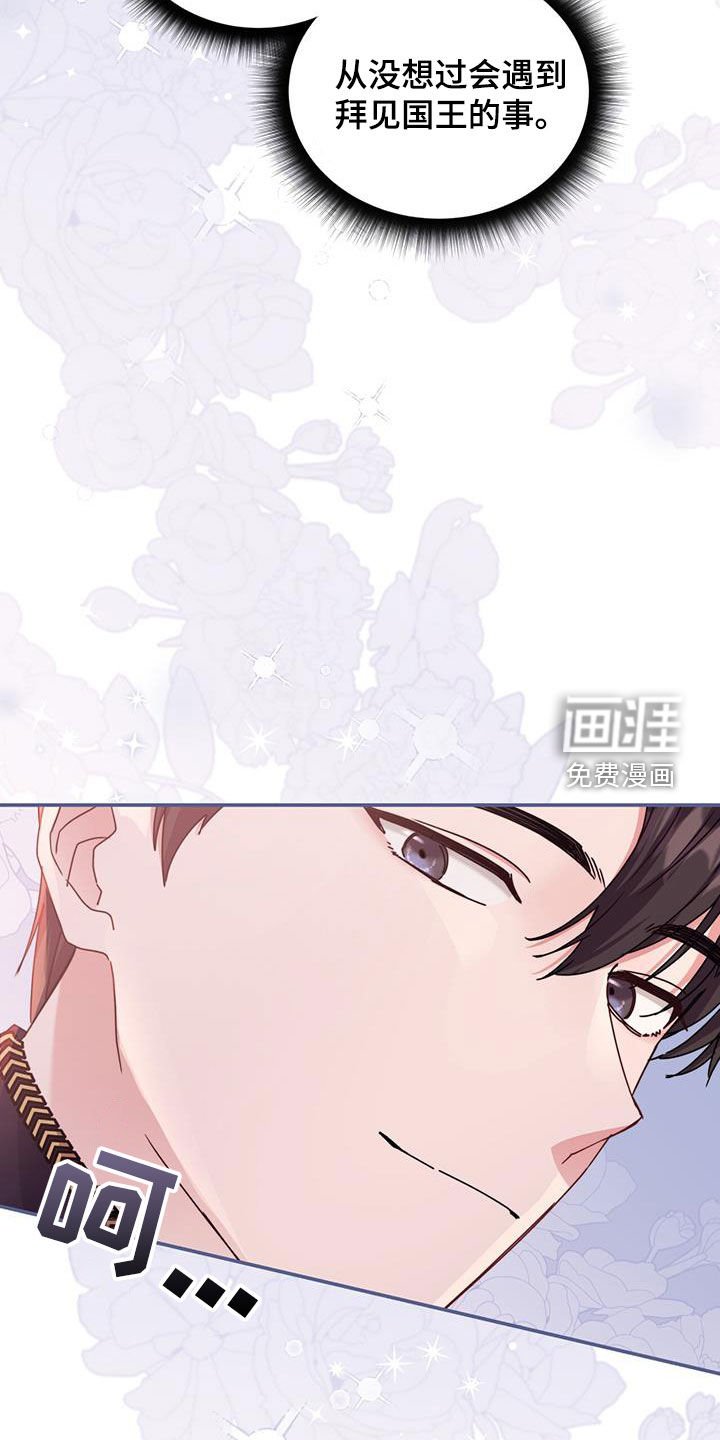 第52章：面见国王