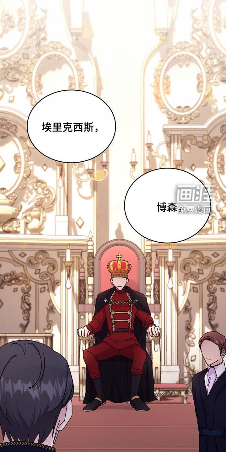 第52章：面见国王
