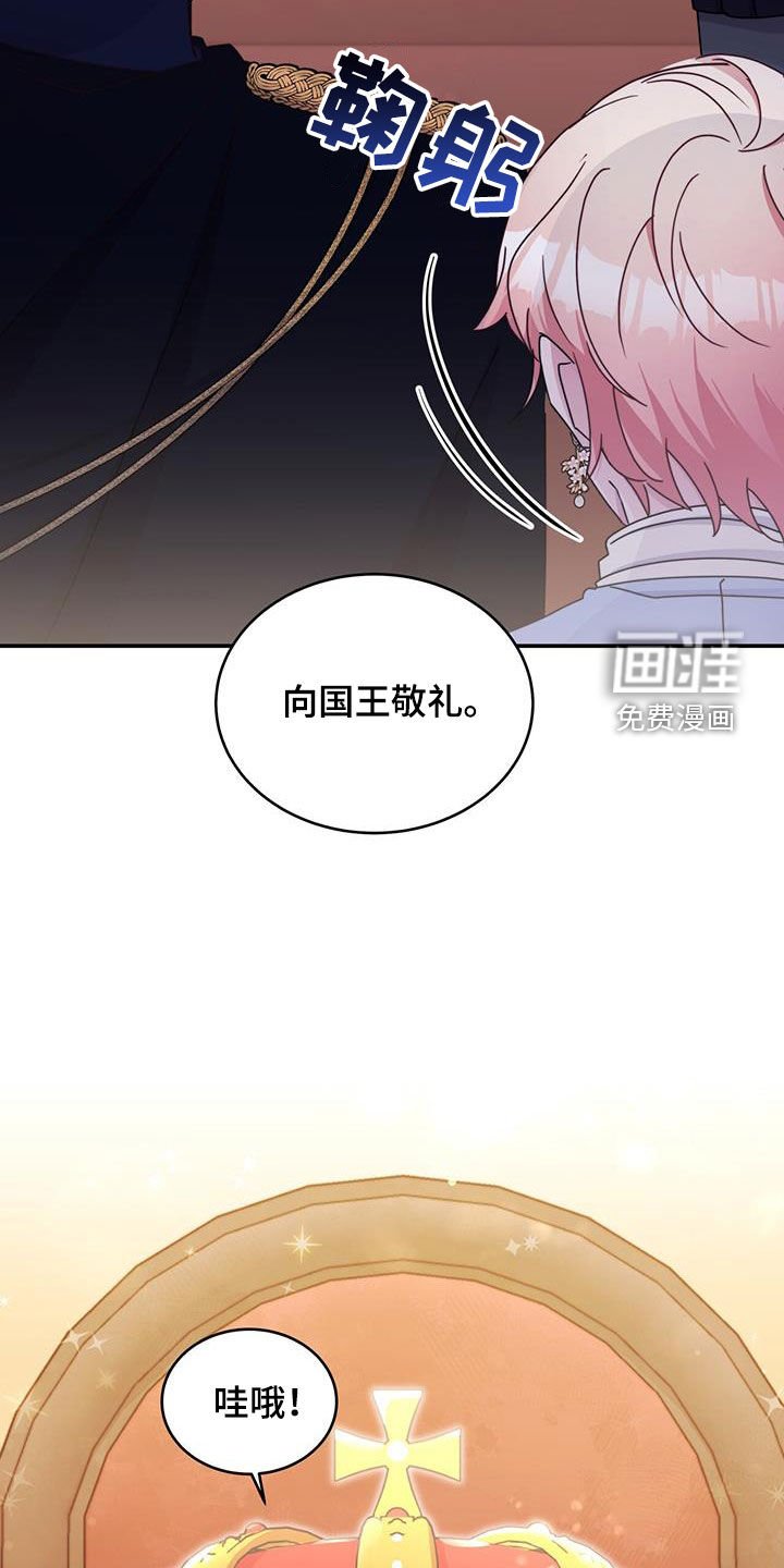 第52章：面见国王