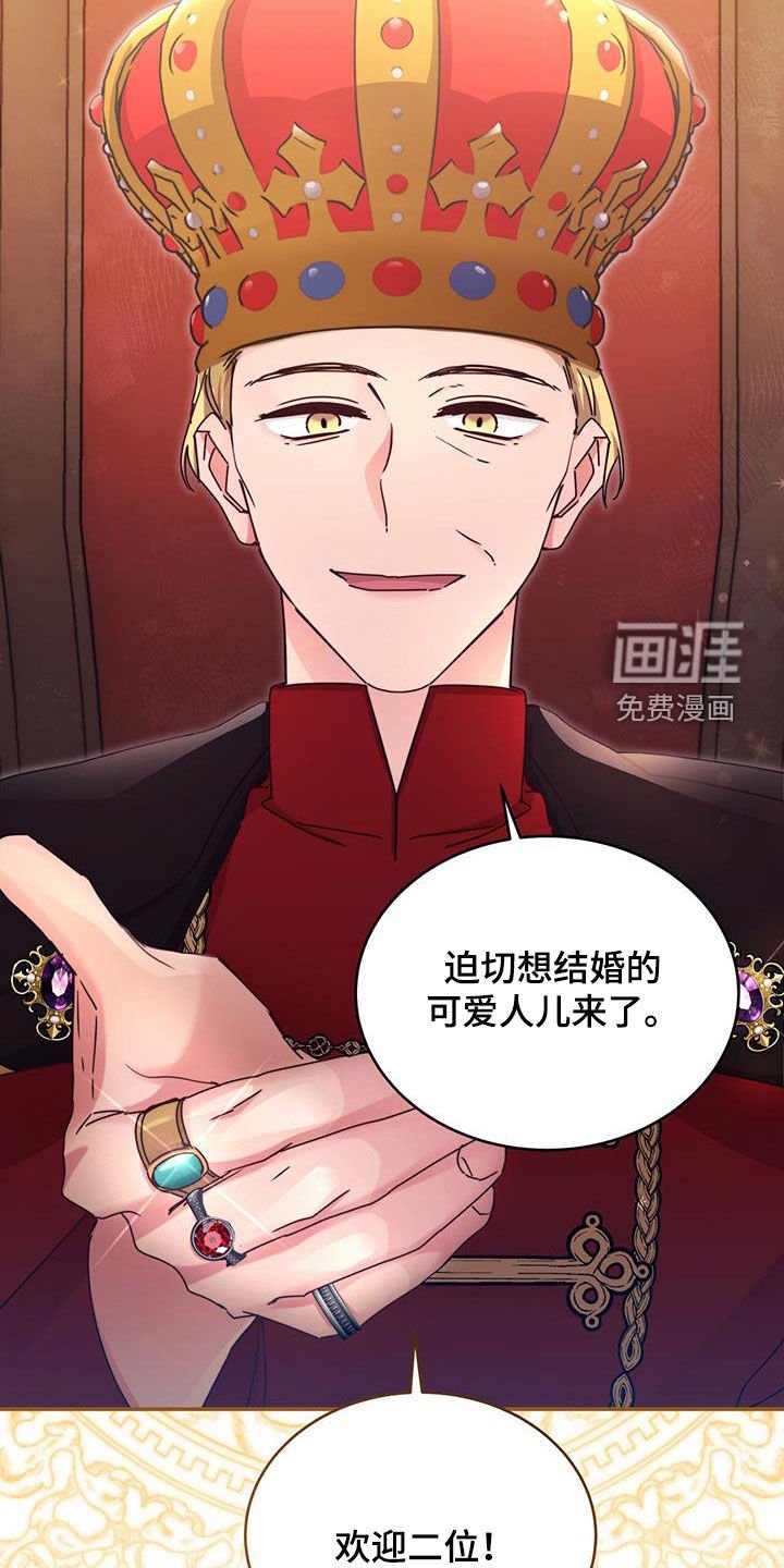第52章：面见国王