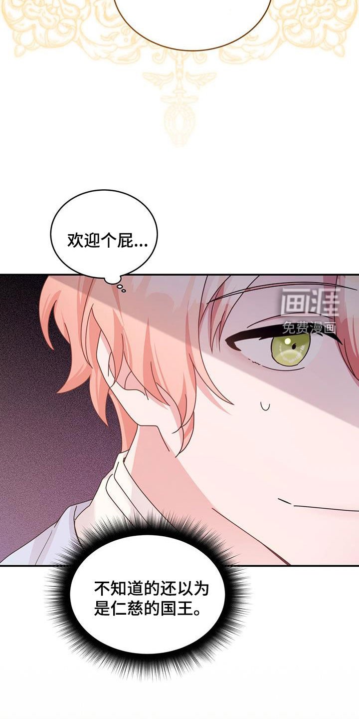 第52章：面见国王