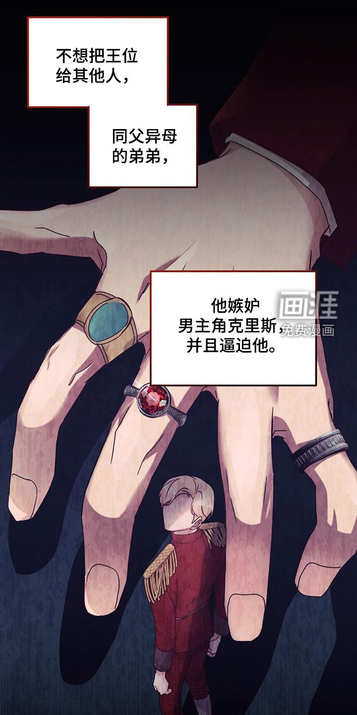 第52章：面见国王