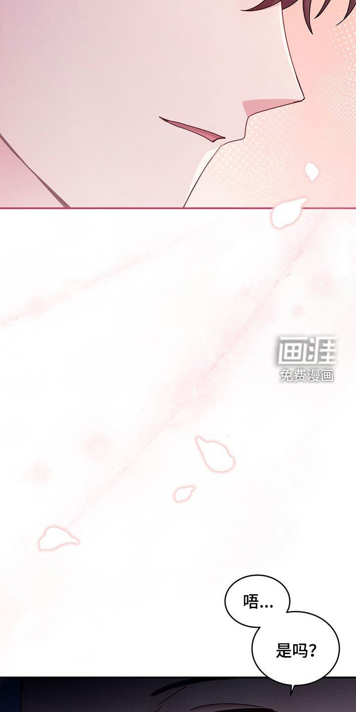 第52章：面见国王