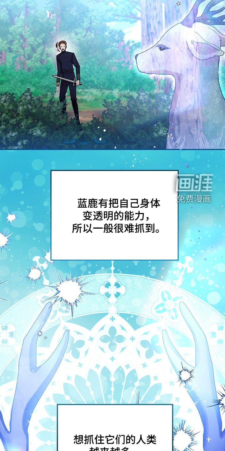 第74章：【第二季】围猎大会