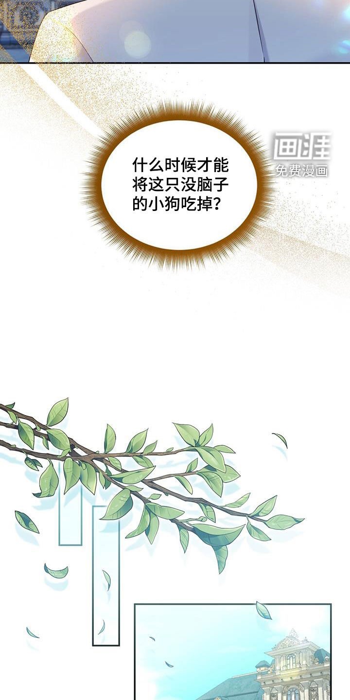 第81章：【第二季】特别的日子