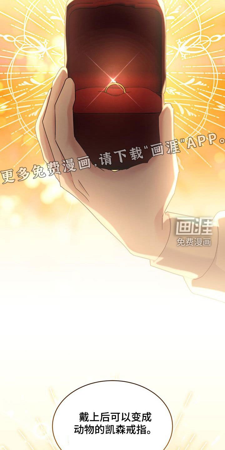 第83章：【第二季】变成猫