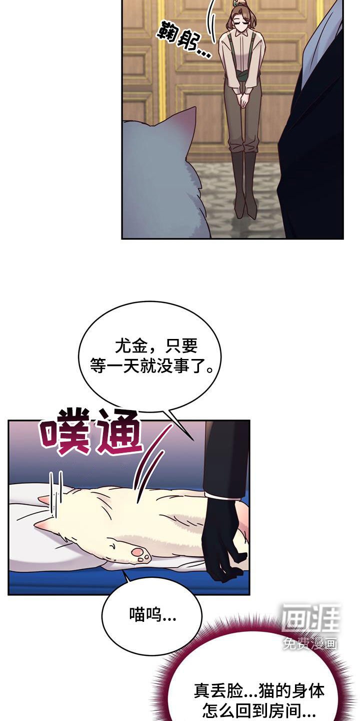 第83章：【第二季】变成猫