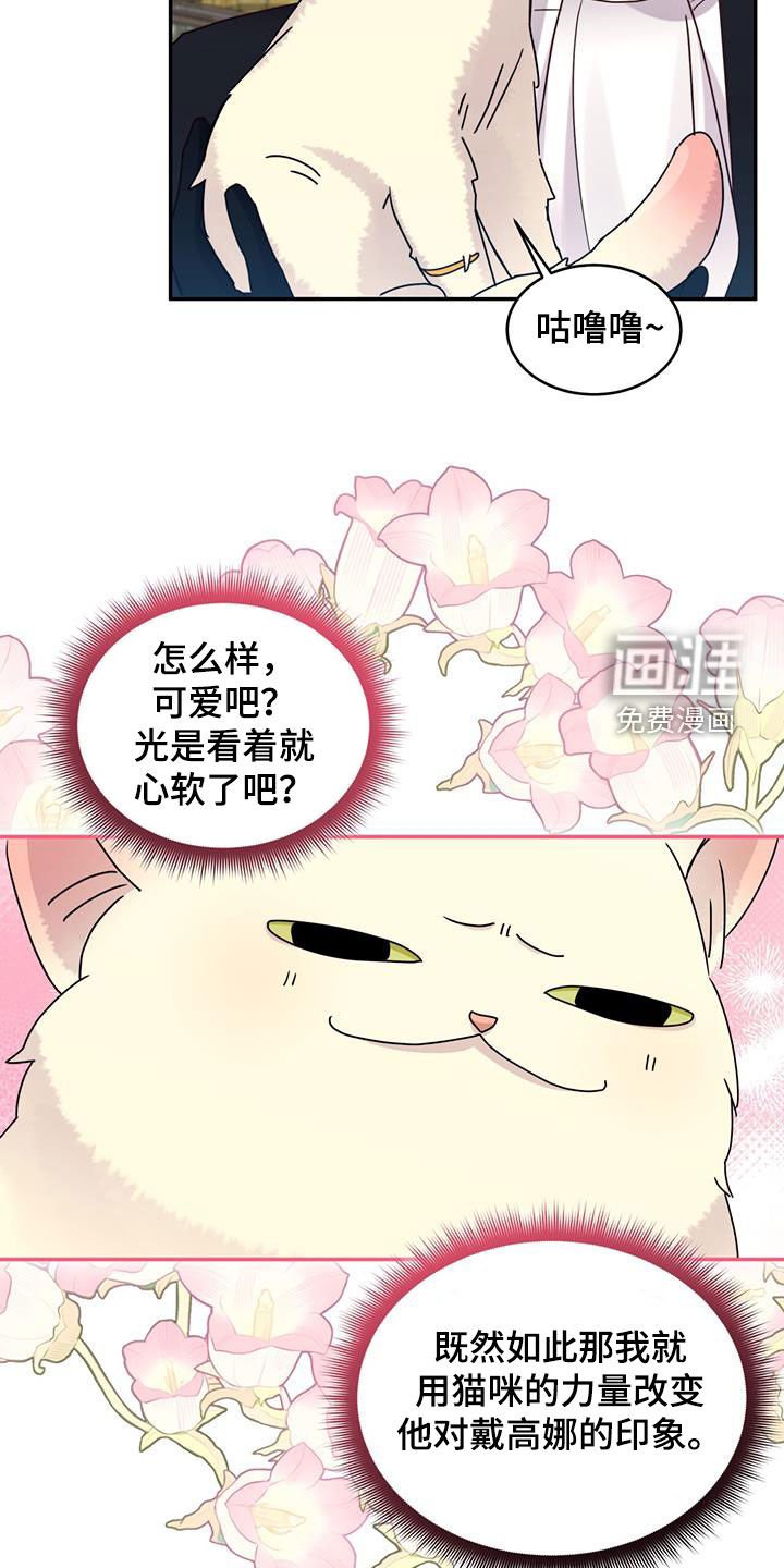 第84章：【第二季】求求你