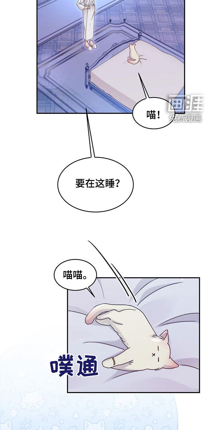 第84章：【第二季】求求你