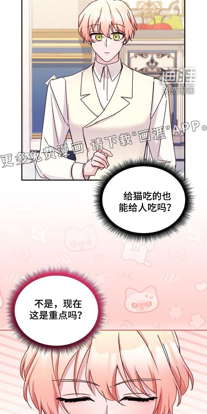 第86章：【第二季】只喜欢那只猫