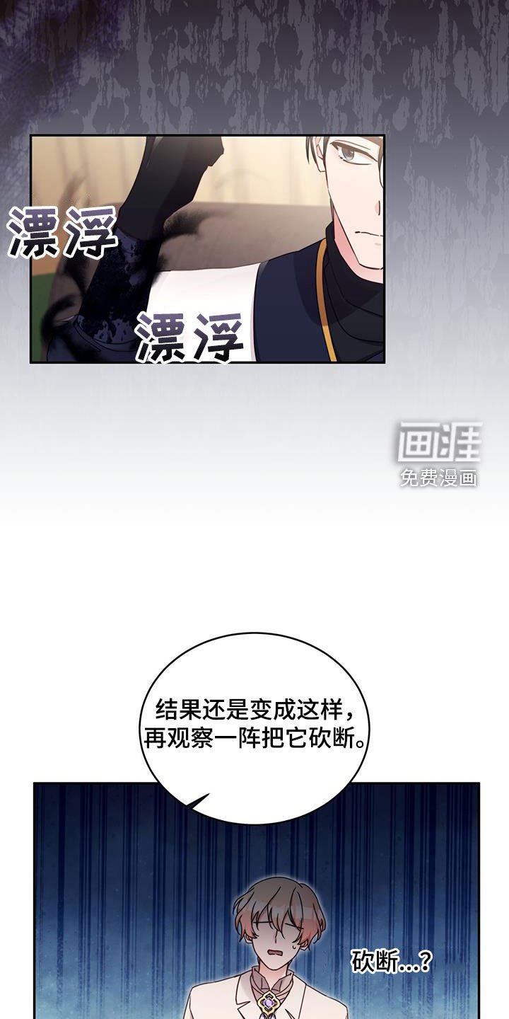 第95章：【第二季】愧疚