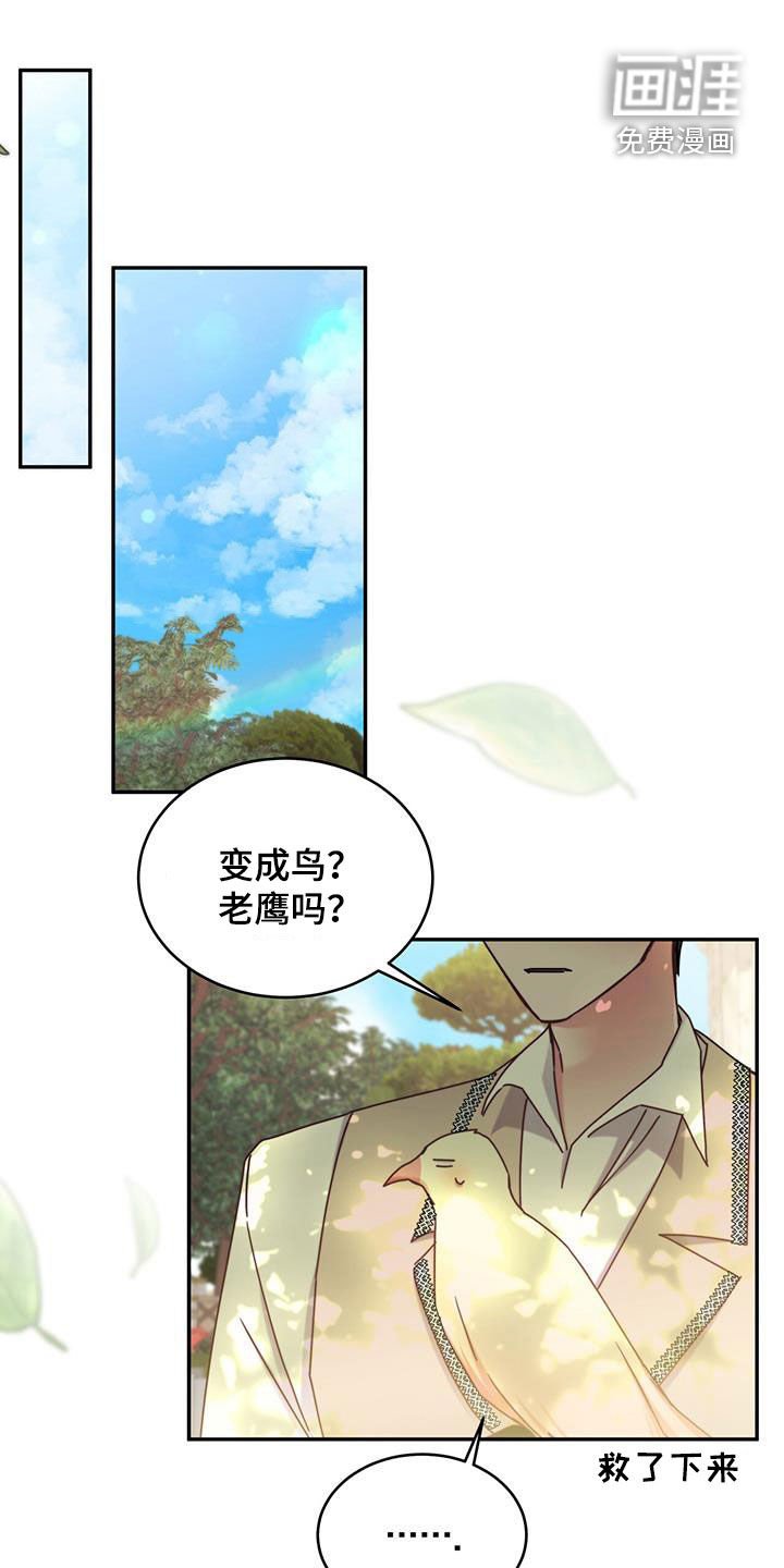 第99章：【第二季】快表白吧