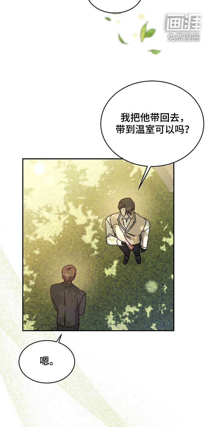第99章：【第二季】快表白吧
