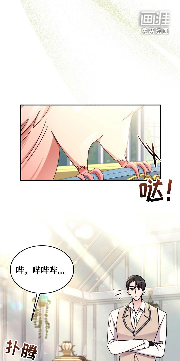 第99章：【第二季】快表白吧