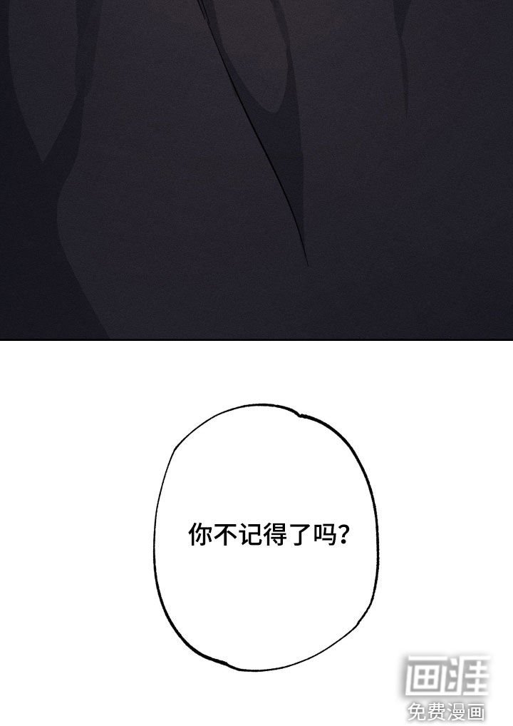 第25章：你不记得了吗