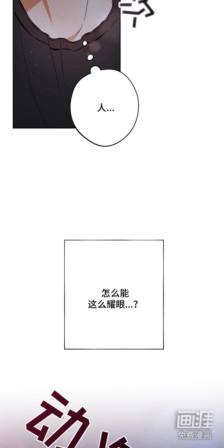 第3章：耀眼