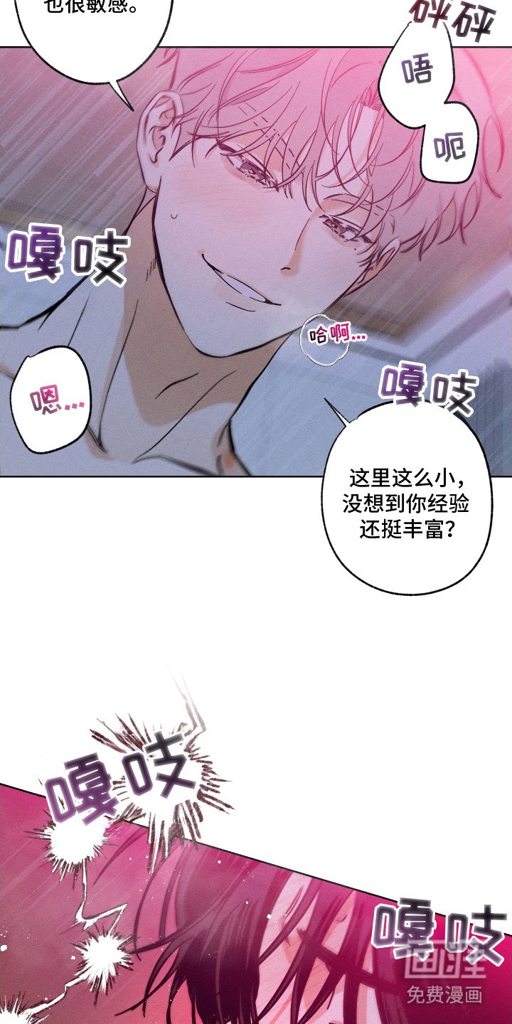 第5章：难道是这个