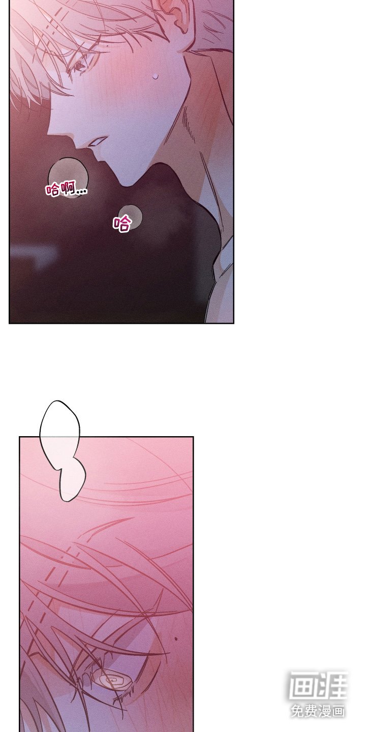 第5章：难道是这个