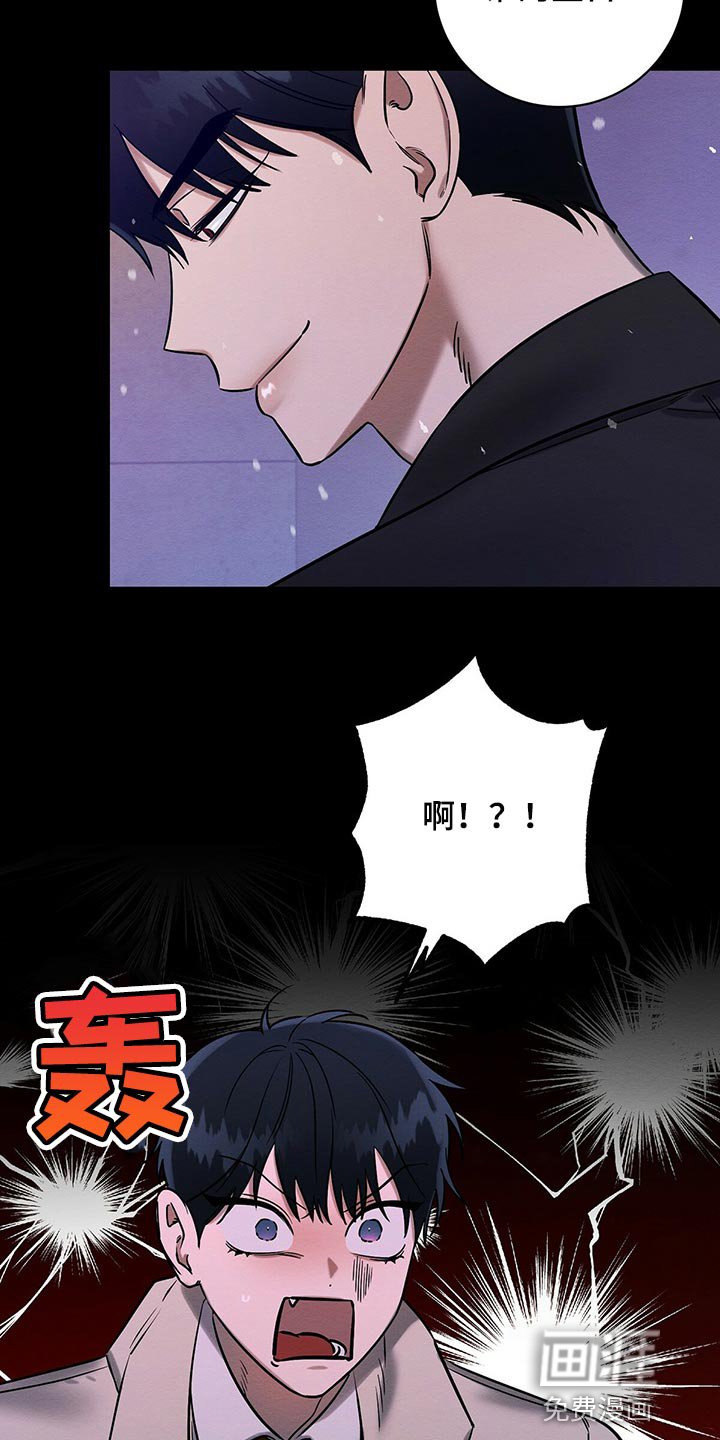 第28章：生日礼物