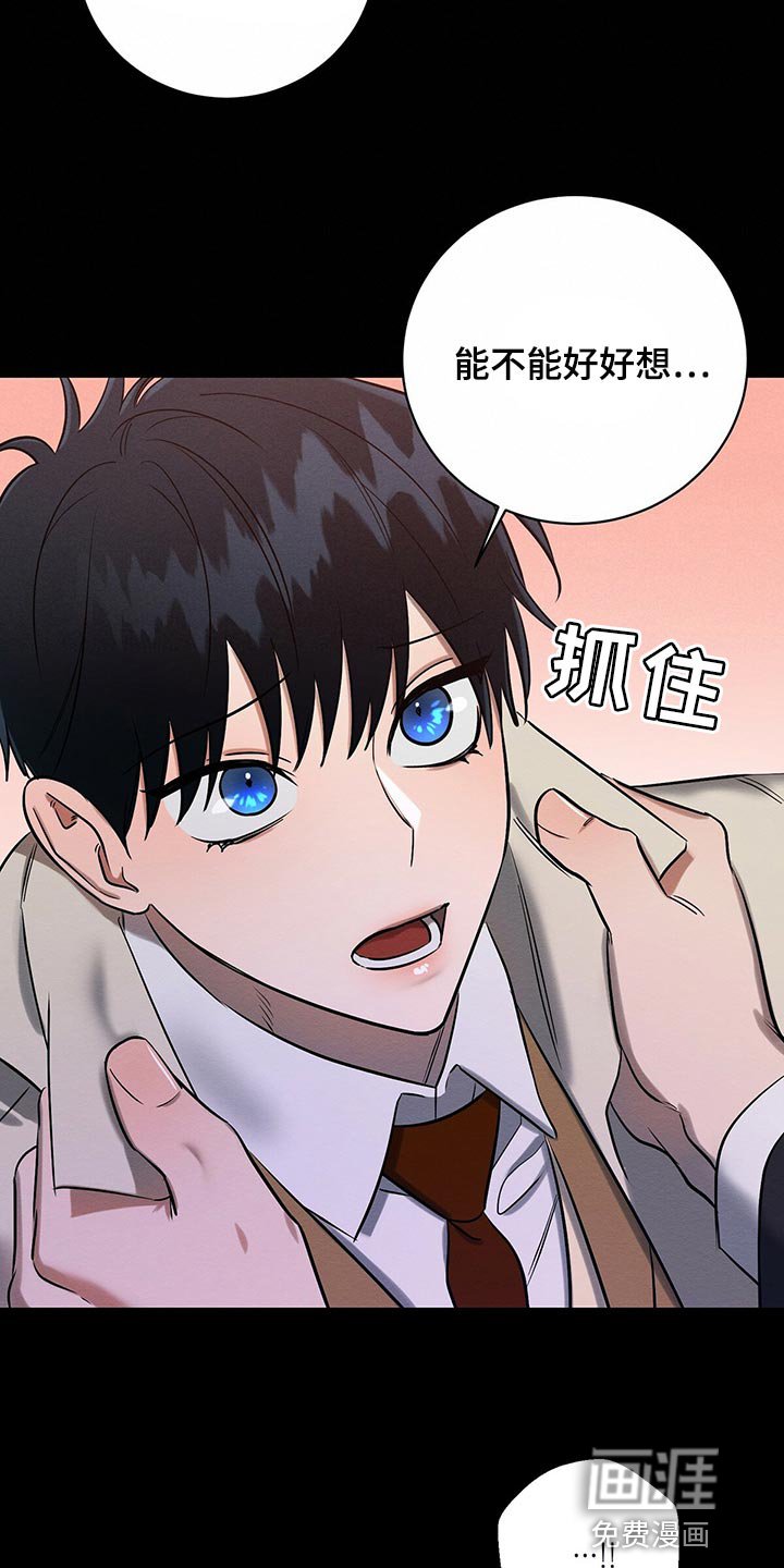 第28章：生日礼物