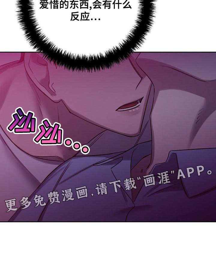 第52章：爱惜的东西