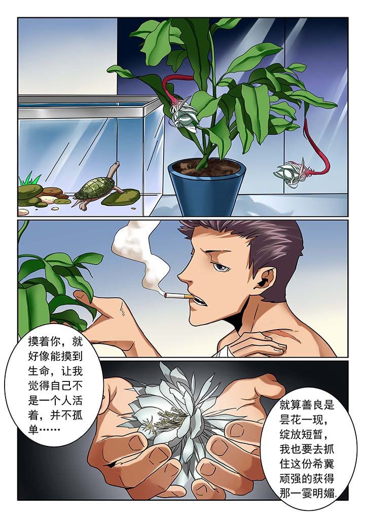 第13章：