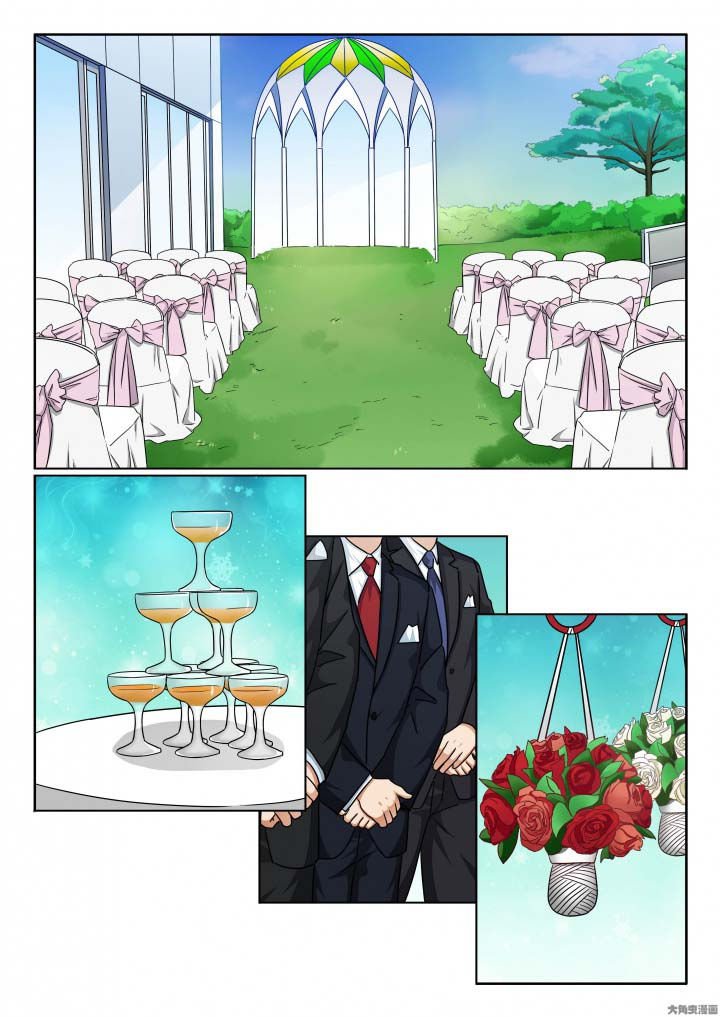 第136章：晓飞媚妍大婚