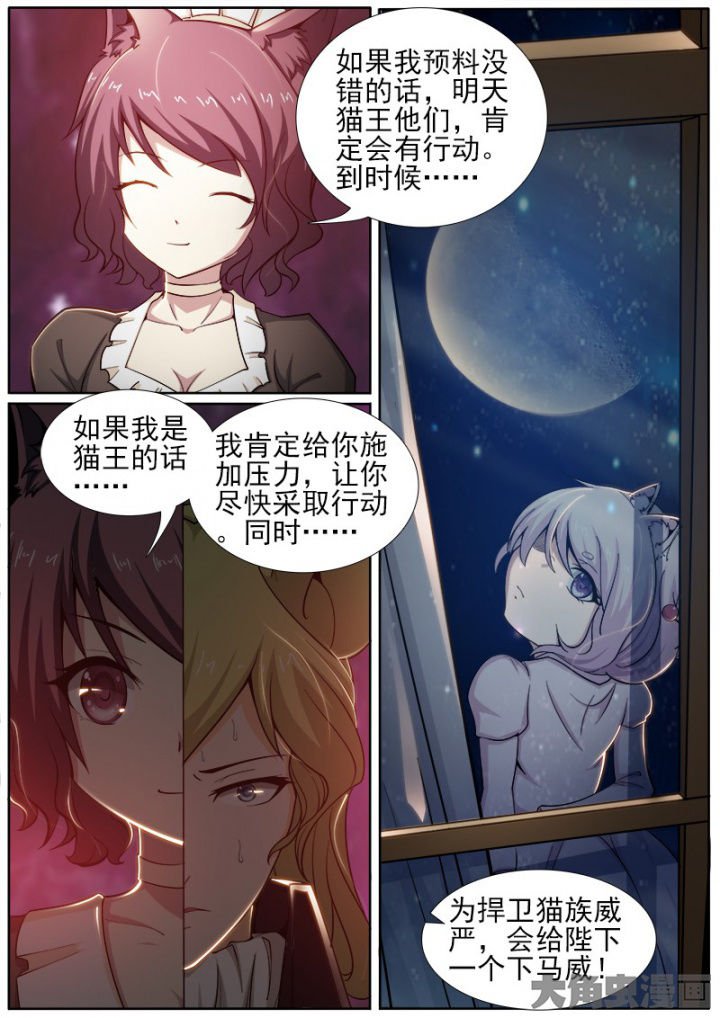 第196章：