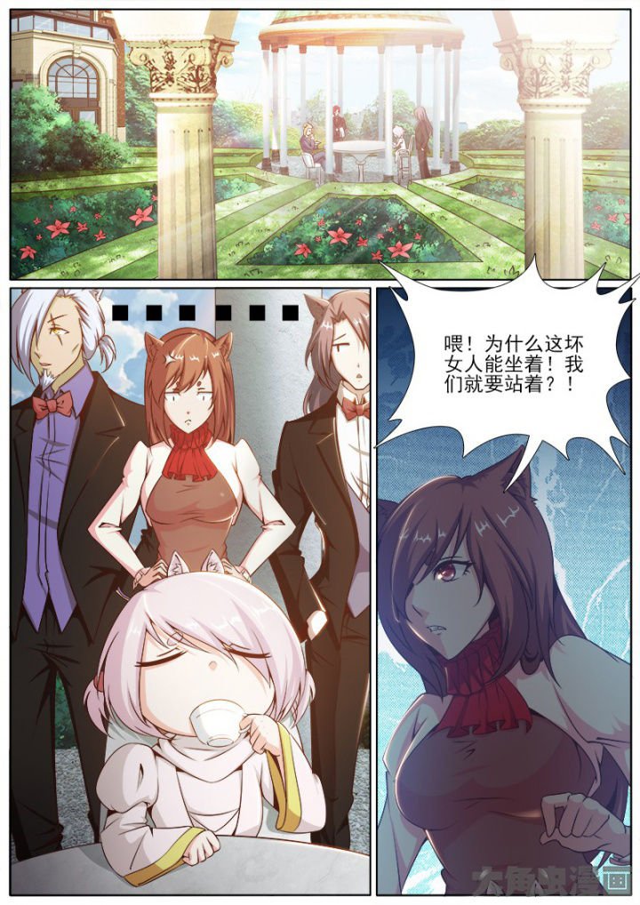 第204章：