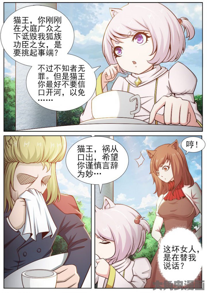 第204章：