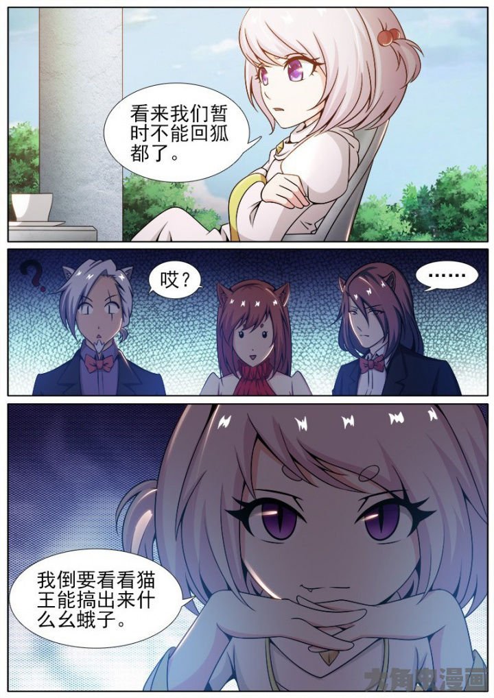 第205章：