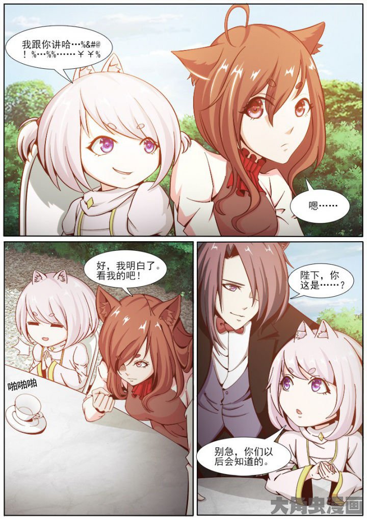 第206章：