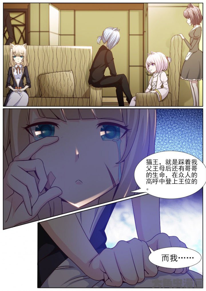第223章：