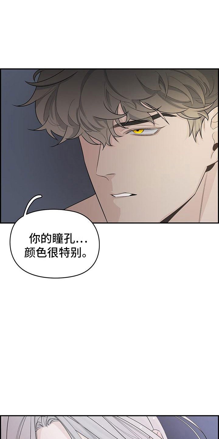 第1章：去除头痛