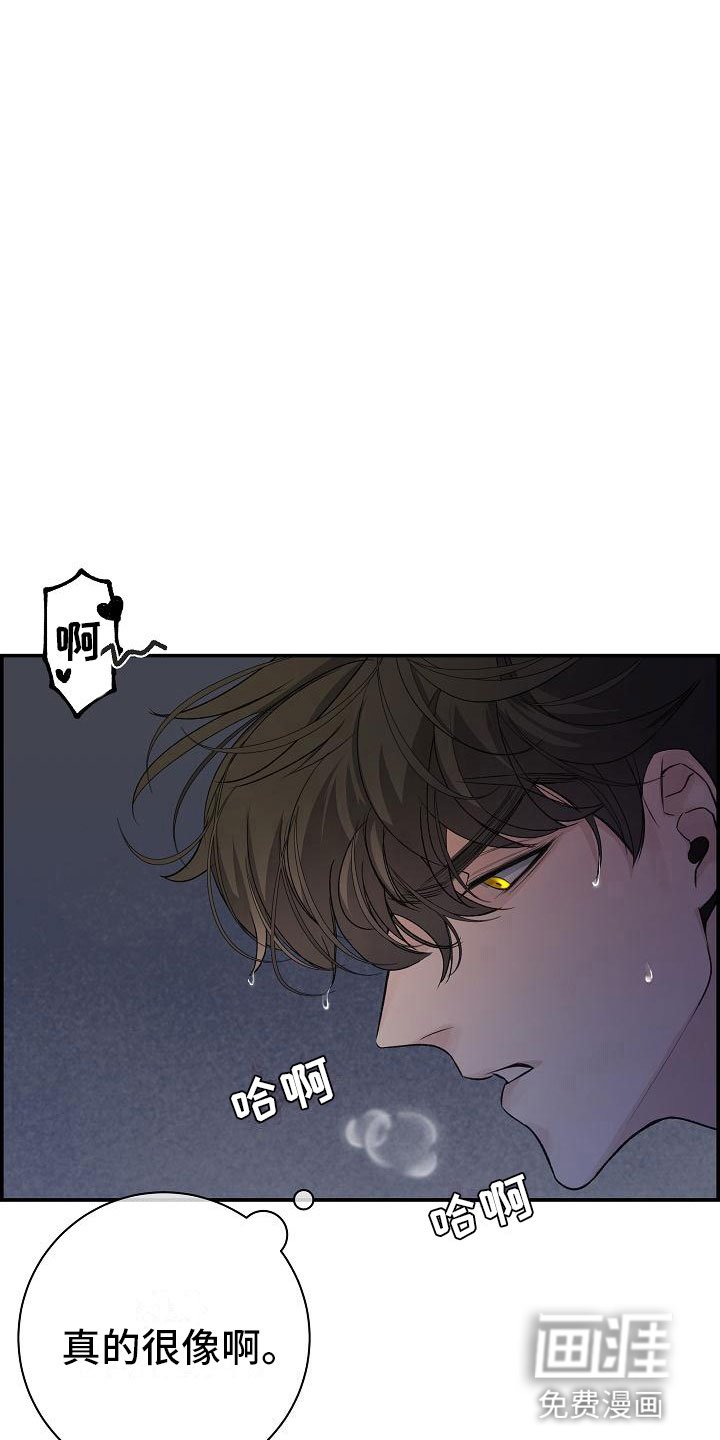 第14章：梦境