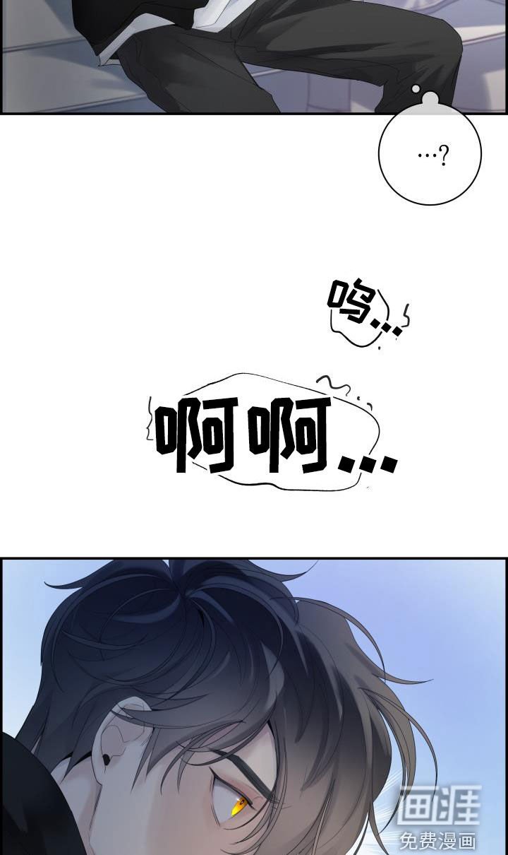 第29章：烦人