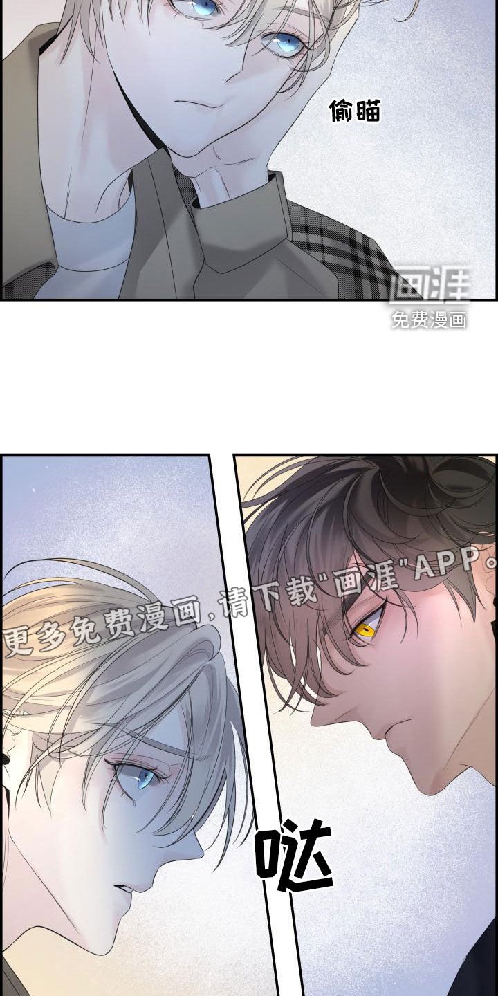 第40章：我喜欢你