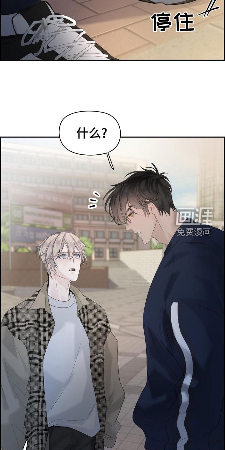 第40章：我喜欢你