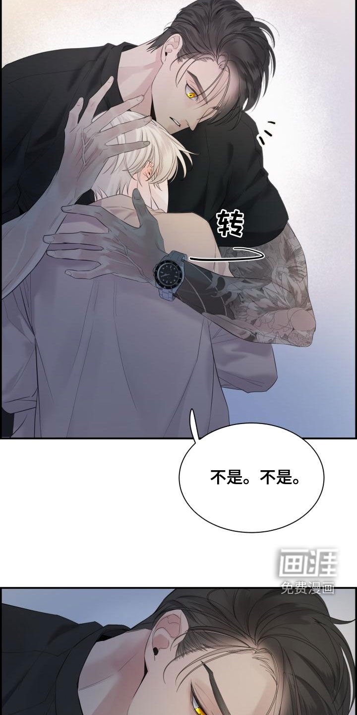 第43章：耳朵