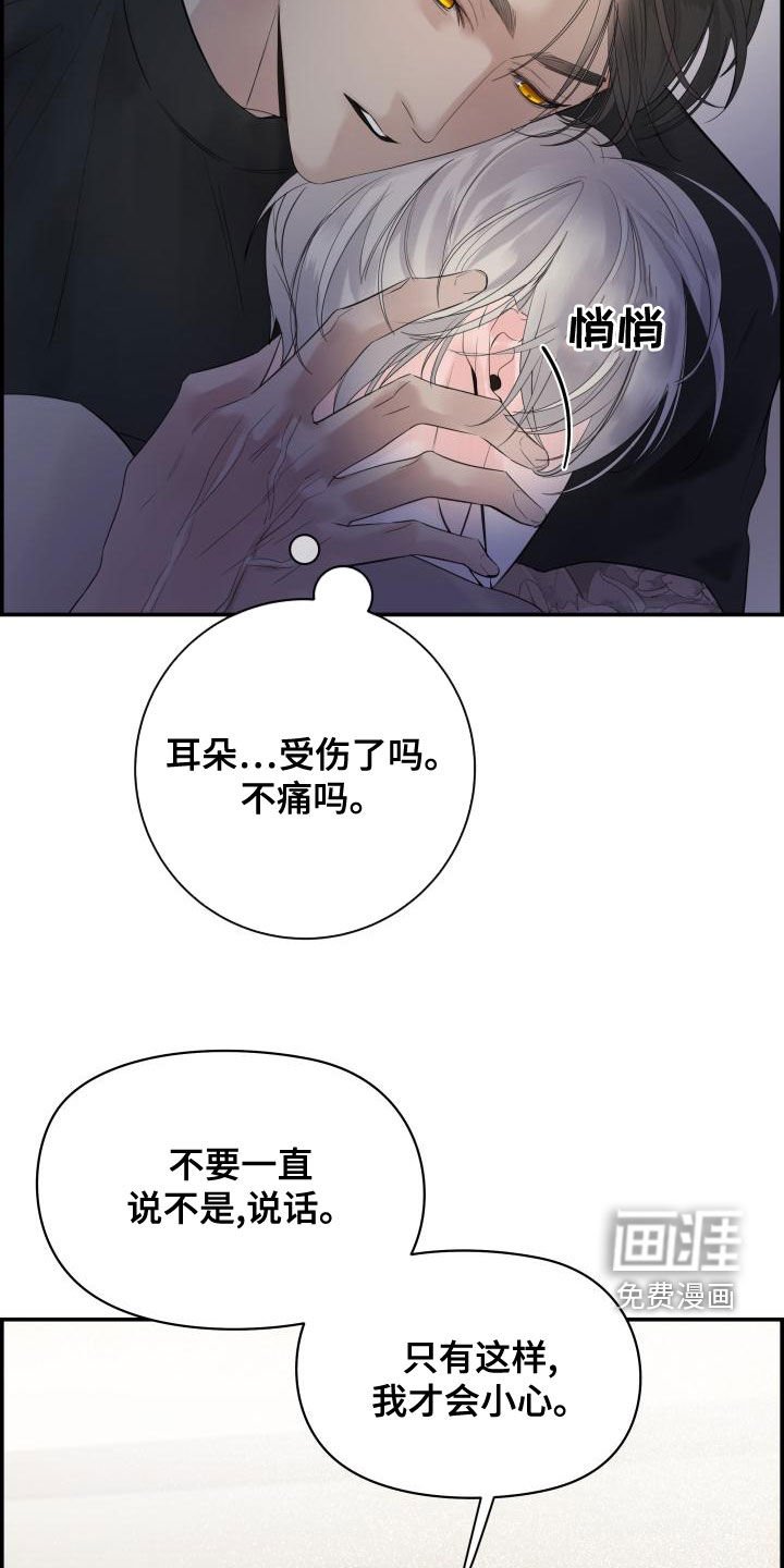 第43章：耳朵